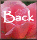 backamigo